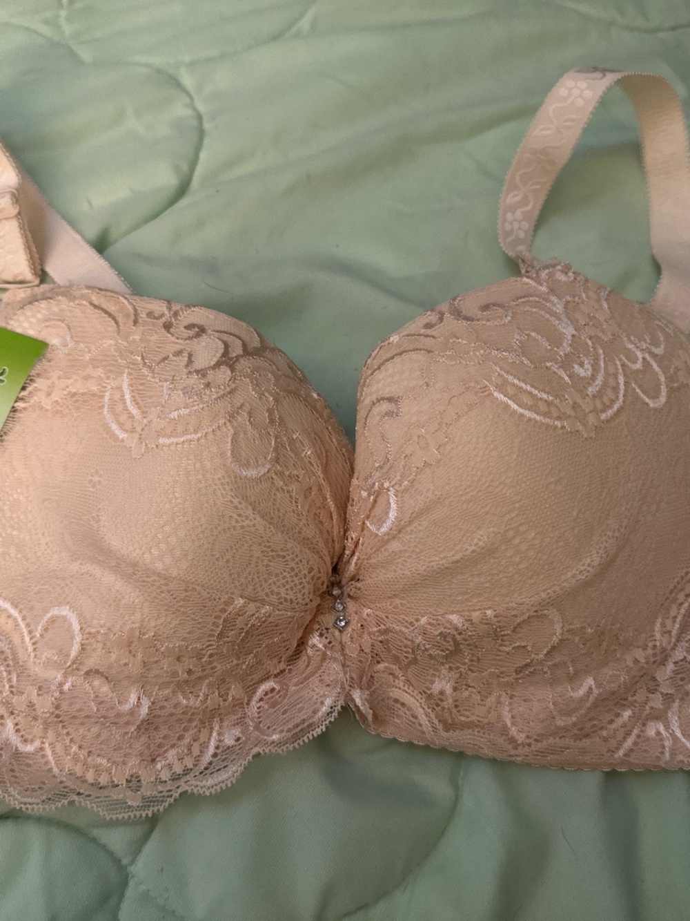 NWT LACE BRA TSHIRT LINED BRA 38 C CUP BEIGE/NUDE